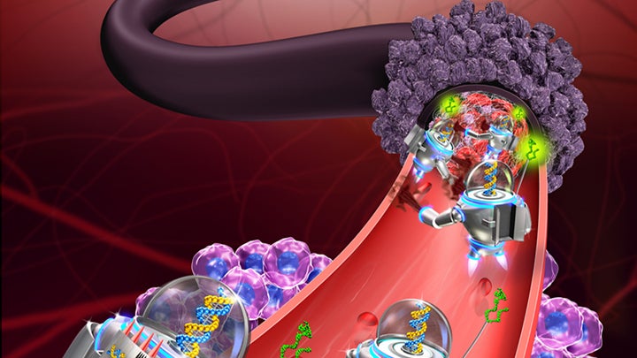 Cancer-fighting nanorobots seek and destroy tumors